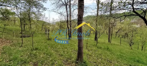 Casă 3 camere Adunati - poza 3