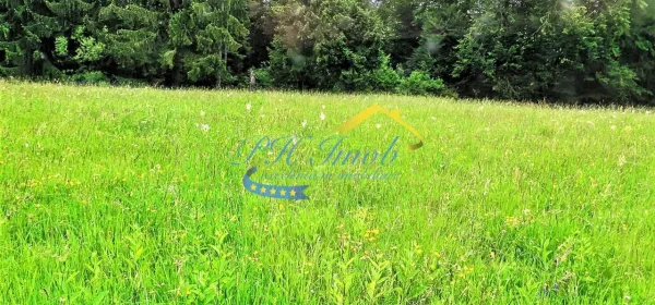 Teren Valea Doftanei - poza 3