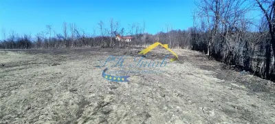 Teren intravilan de vanzare, Cornu - foto 2
