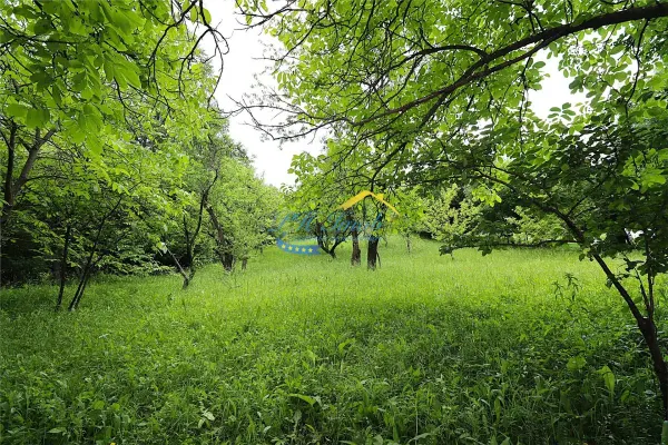 Casă 4 camere Poiana Campina - poza 11