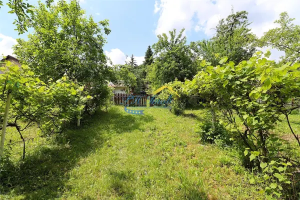 Casă 4 camere Poiana Campina - poza 12