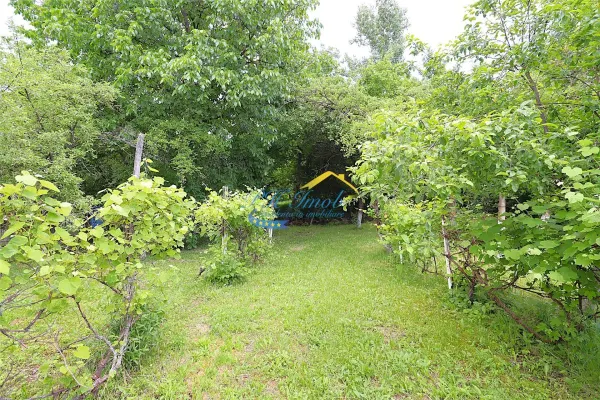 Casă 4 camere Poiana Campina - poza 9