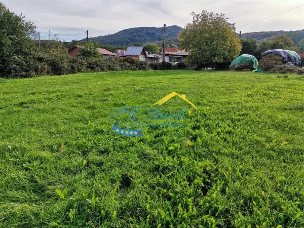 Teren Poiana Campina - poza 2