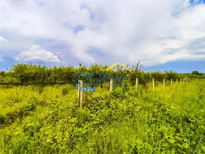 Teren intravilan de vanzare, Baicoi Prahova - Baicoi
