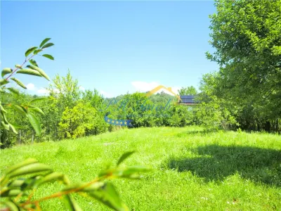 Teren intravilan de vanzare, Adunati Prahova - foto 3