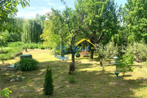Casă 5 camere Provita de Sus - poza 19