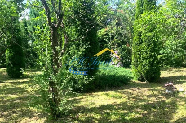 Casă 5 camere Provita de Sus - poza 20
