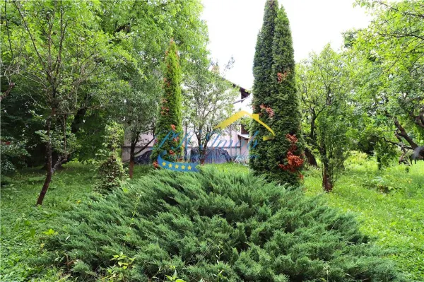 Casă 5 camere Provita de Sus - poza 21