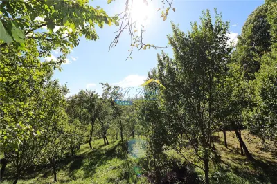 Casa de vanzare Adunati, Prahova - foto 11