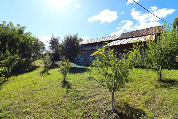 Casă 4 camere Adunati - poza 12