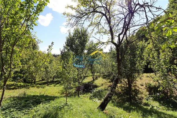 Casă 4 camere Adunati - poza 10