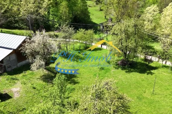 Casă 5 camere Provita de Sus - poza 11