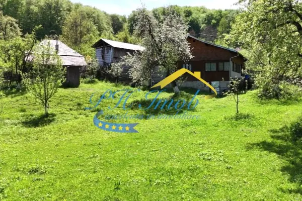 Casă 5 camere Provita de Sus - poza 12