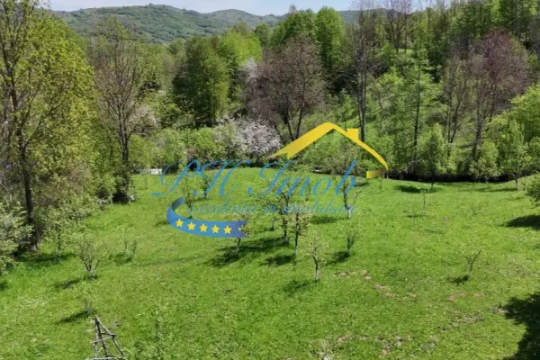Casă 5 camere Provita de Sus - poza 10