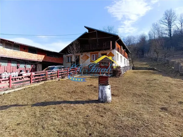 Casă 4 camere Provita de Jos - poza 1