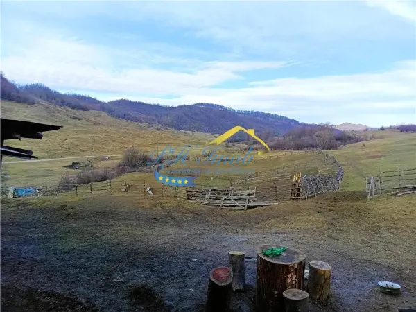 Casă 4 camere Provita de Jos - poza 14