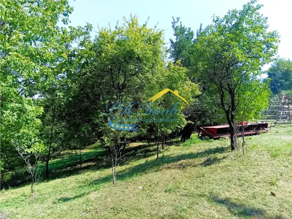 Teren Poiana Campina - poza 1