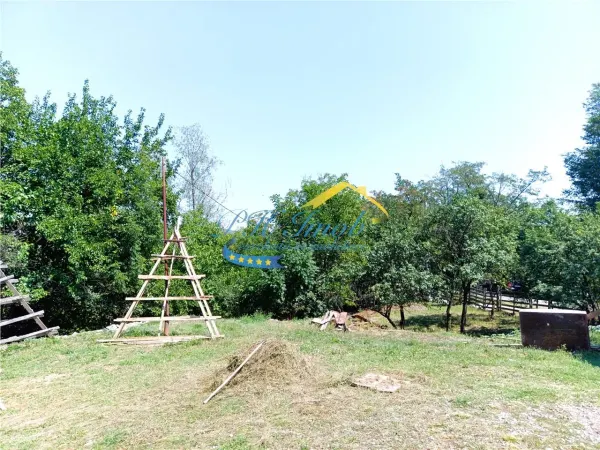 Teren Poiana Campina - poza 2
