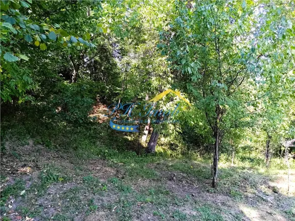 Teren Poiana Campina - poza 6