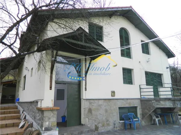 Casă 7 camere Provita de Jos - poza 1