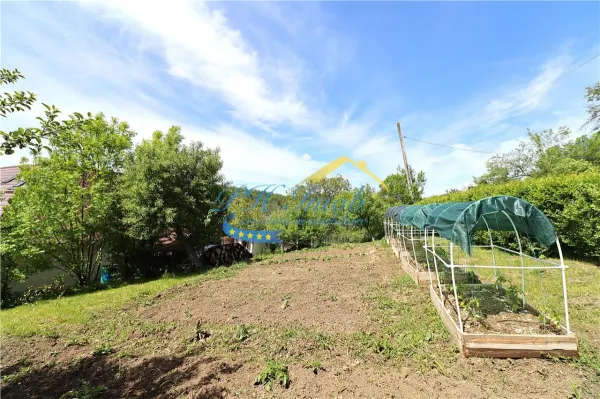 Casă 6 camere Provita de Sus - poza 19