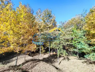 Teren Intravilan de Vanzare, Cornu - foto 5