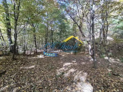 Teren Intravilan de Vanzare, Cornu - foto 7