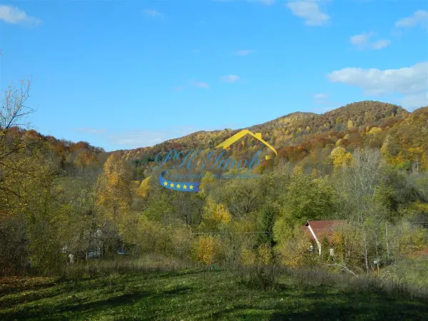 Teren Provita de Jos - poza 1