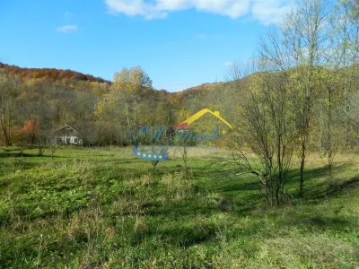 Teren Intravilan de Vanzare, Provita - foto 2