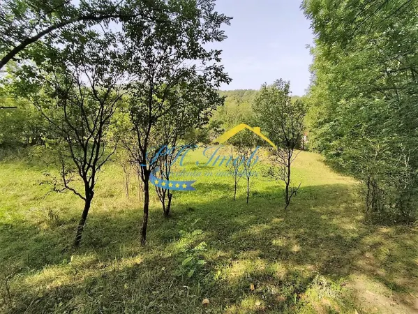 Teren Provita de Jos - poza 9