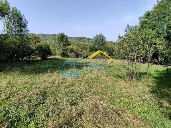 Teren Provita de Jos - poza 10