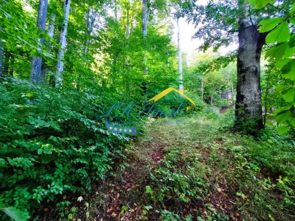 Teren Sinaia - poza 5