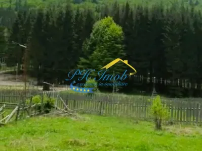 Teren de vanzare, Valea Doftanei - Valea Doftanei