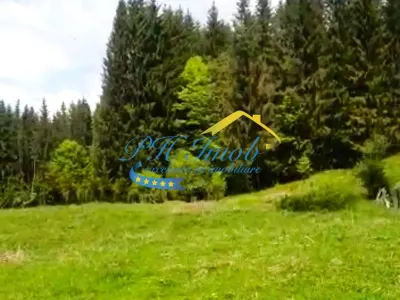 Teren de vanzare, Valea Doftanei - foto 2