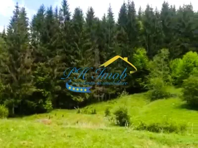 Teren de vanzare, Valea Doftanei - foto 4