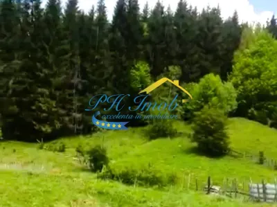 Teren de vanzare, Valea Doftanei - foto 5