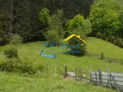 Teren de vanzare, Valea Doftanei - foto 6