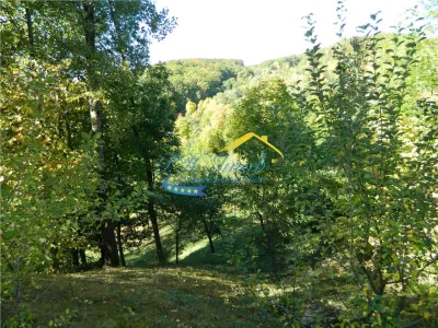 Teren Intravilan de vanzare, Sotrile Prahova - Sotrile