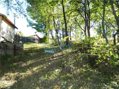 Teren Intravilan de vanzare, Sotrile Prahova - foto 5