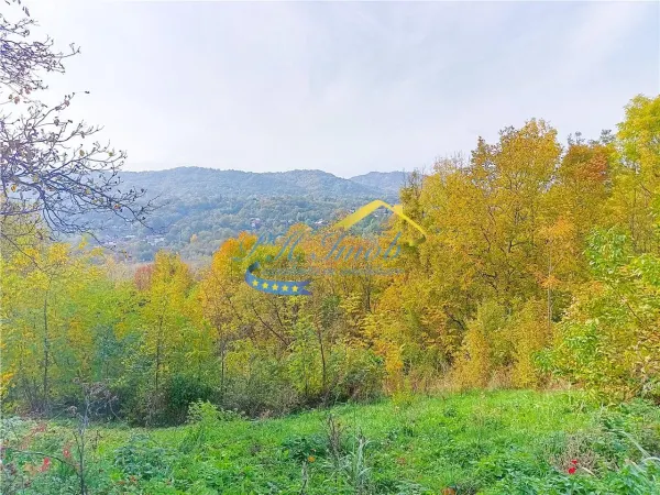 Casă 2 camere Cornu - poza 8
