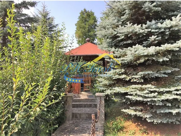 Casă 9 camere Cornu - poza 14