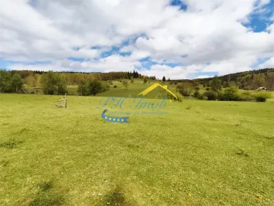 Teren Intravilan de vanzare, Valea Doftanei - Valea Doftanei