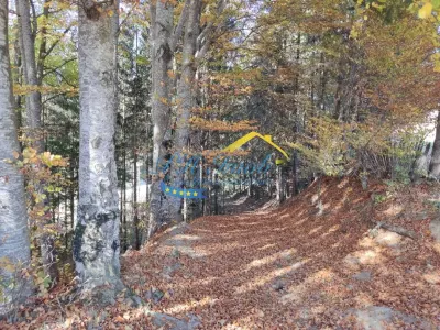 Teren Intravilan de vanzare, Valea Doftanei - foto 10