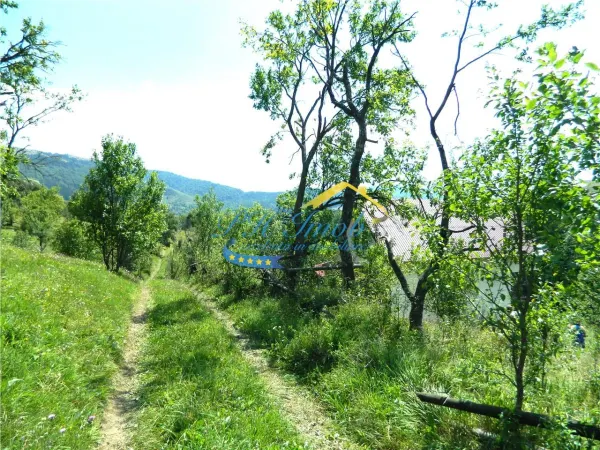 Casă 3 camere Valea Doftanei - poza 14