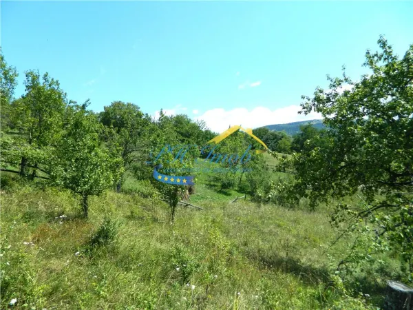 Casă 3 camere Valea Doftanei - poza 15