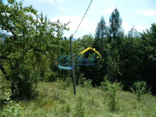 Casă 3 camere Valea Doftanei - poza 16