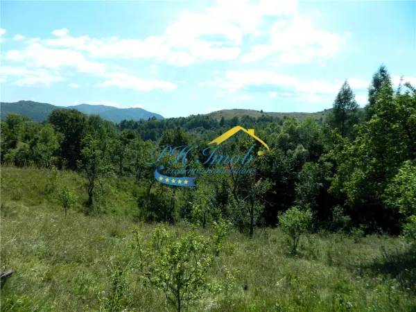 Casă 3 camere Valea Doftanei - poza 17