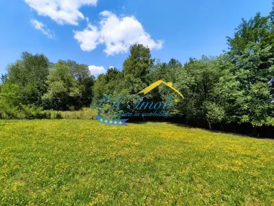 Teren intravilan de vanzare, Campina - foto 2
