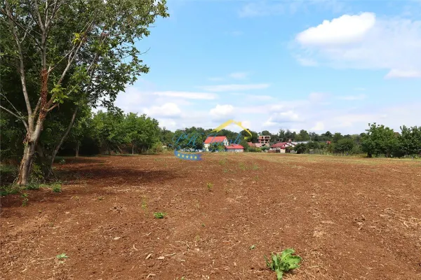 Teren Băicoi - poza 2