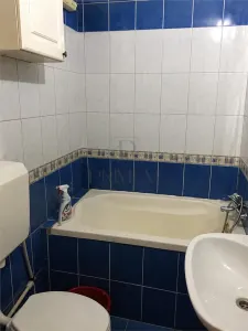 ARADULUI - APARTAMENT 1 CAMERA - mobilat, utilat, decomandat - foto 4